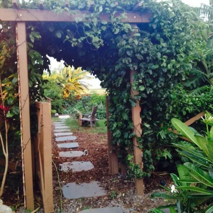 Apartment Garden Oasis At Banana Hale Studio Kawailiula United States